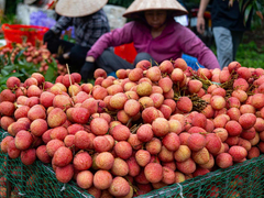 Đọc nhanh bài viết 192981