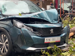 Ảnh bìa bài viết 199691