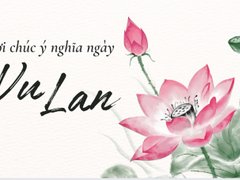 Đọc nhanh bài viết 202613