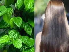 Đọc nhanh bài viết 203711