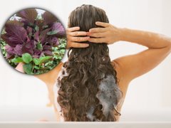 Đọc nhanh bài viết 203745