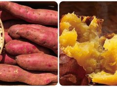 Đọc nhanh bài viết 204059