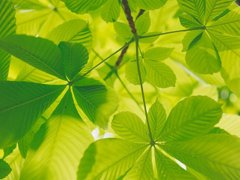 Đọc nhanh bài viết 204471