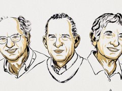 Đọc nhanh bài viết 204565