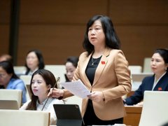 Ảnh bìa bài viết 205830