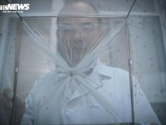 Đọc nhanh bài viết 206027