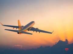 Đọc nhanh bài viết 206359