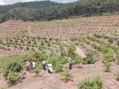 Đọc nhanh bài viết 206613