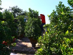 Đọc nhanh bài viết 206743