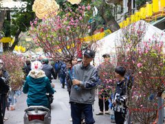 Ảnh bìa bài viết 207514