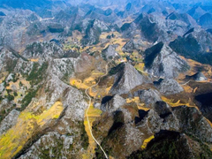 Ảnh bìa bài viết 207817