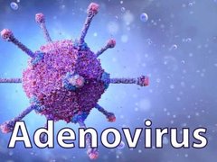 Đọc nhanh bài viết 208171