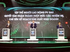 Ảnh bìa bài viết 208575