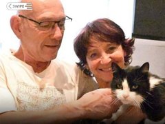 Đọc nhanh bài viết 209852