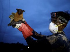 Ảnh bìa bài viết 210038