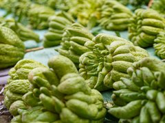 Đọc nhanh bài viết 210225