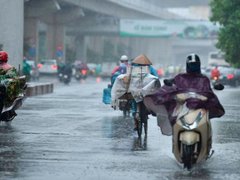 Đọc nhanh bài viết 210420