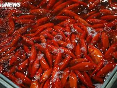 Đọc nhanh bài viết 210413