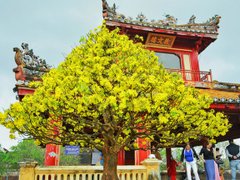 Đọc nhanh bài viết 210459