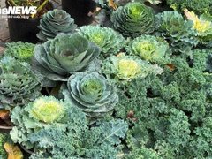 Đọc nhanh bài viết 210436