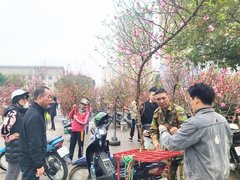 Đọc nhanh bài viết 210463