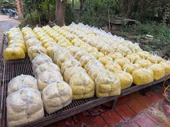 Đọc nhanh bài viết 210506