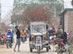 Đọc nhanh bài viết 210466