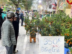 Đọc nhanh bài viết 210510