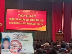 Ảnh bìa bài viết 124422