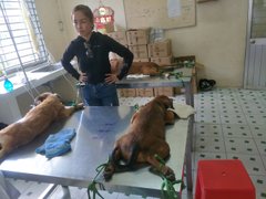 Ảnh bìa bài viết 67252