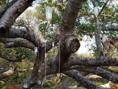 Ảnh bìa bài viết 31649