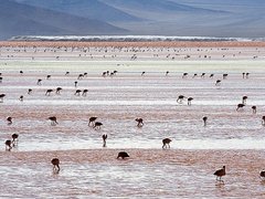 Ảnh bìa bài viết 6248