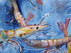 Ảnh bìa bài viết 10794