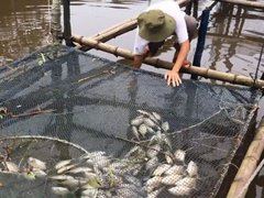 Ảnh bìa bài viết 13599