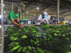 Ảnh bìa bài viết 111439