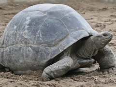 Đọc nhanh bài viết 105329