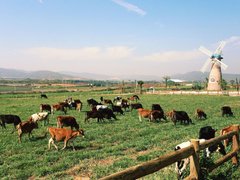 Ảnh bìa bài viết 88676