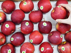 Ảnh bìa bài viết 8035