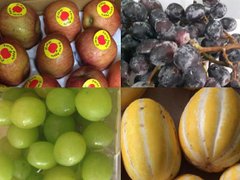 Ảnh bìa bài viết 8927