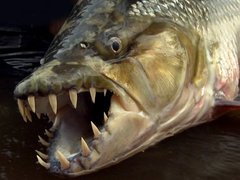 Đọc nhanh bài viết 50780