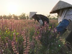 Ảnh bìa bài viết 14496