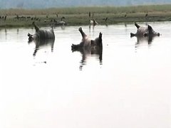 Ảnh bìa bài viết 7772