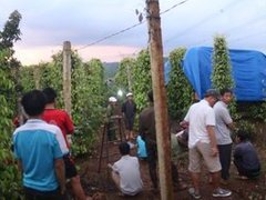 Ảnh bìa bài viết 36682