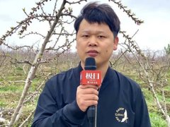 Đọc nhanh bài viết 132676