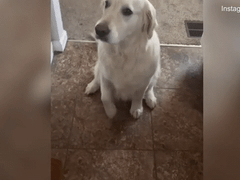 Đọc nhanh bài viết 119523