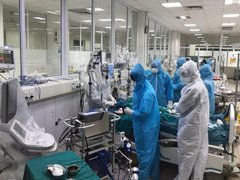 Ảnh bìa bài viết 115382