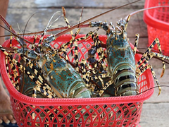 Ảnh bìa bài viết 78688