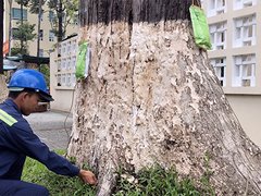 Ảnh bìa bài viết 50590