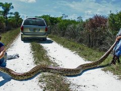 Ảnh bìa bài viết 57757