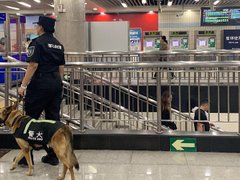 Ảnh bìa bài viết 96566